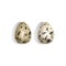 Set of Realistic quail eggs on white background, top view 3D vector graphics