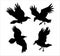 Set of realistic raven vector silhouettes for icons. Hand drawn style