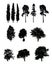 Set of realistic silhouettes of trees, isolated