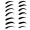 Set of realistic woman eyebrows for design on white