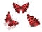 set of red butterflies isolated on a white background. flock of colored moths. three tropical insects