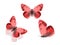 set of red butterflies isolated on a white background. flock of colored moths. three tropical insects