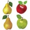Set of red and green apples and yellow pears