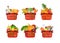 Set of Red grocery shopping baskets full of different fresh food isolated on white background. Vector illustration