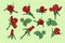 Set of red hand drawn vector roses with leaves