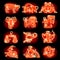 Set of red luminous linear zodiacal signs with figures