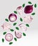 Set of red onion with leaves on transparent background. Flying red onion are whole and cut in half. 3D realistic red