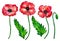 Set of red poppies. Colorful flowers. Watercolor hand drawn illustration isolated on white background