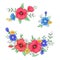 Set of red poppies and daisies. Hand drawing. Vector illustration