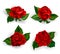 Set of red roses