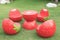 Set of red strawberry garden outdoor patio desk on green grass f