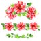 Set of red watercolor Hibiscus flower