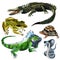 Set of reptiles animals