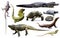 Set of reptiles isolated