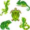 The set with reptiles, is a lot of vector animals, an animal with a pattern on a body, the lizard creeps, a large frog, a venomous