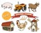 Set of Retro Farm vector icons