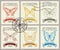 Set of retro postage stamps with various butterflies