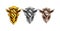 Set of Rewards icon for game interface. Cartoon achievement decoration for game: gold, silver, bronze. Vector illustration.