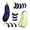 Set of ripe eggplants. Vector illustration on white background.