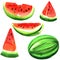 Set of ripe fresh watermelon isolated, watercolor illustration on white