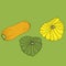 Set ripe juicy yellow zucchini and yellow and green patisson iso