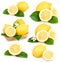 Set of ripe lemon fruits isolated