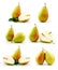 Set of Ripe Pear Fruits Isolated on White