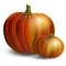 Set of ripe pumpkins. Happy Halloween. Vector illustration