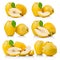 Set of ripe quince fruits with leaf and slice isolated