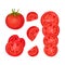 Set of ripe tomatoes. Vector illustration on white background.