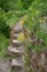 Set of rock steps at a hiking trail with wild flowers, Moselle, Germany