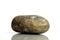 Set Rock stone with names, isolated on a white background with shadow, beautiful lighting, reflections. Granite.