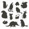 Set of rodent gray silhouettes. Vector illustration, isolated on a white background.
