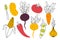 Set of root crops in doodle style. Collection of vegetables in a linear style. Vector illustration.