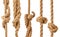 A set of ropes of different thicknesses with different knots