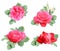 Set of rose with red flowers and green leaf