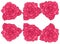 Set Roses Flower Clip Art