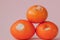 A set of rotten moldy oranges, tangerines on pink background. A photo of the growing mold. Food contamination, bad spoiled