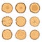 Set of round cross-sections of a tree with a different ring pattern isolated on a white background. Vector illustration