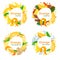 Set of rounded frames with slices of orange. Oranges, lemon, mint, ginger, cinnamon. Vector illustration