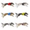 Set of running dog saluki breed