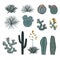 Set saguaro cactus, blooming cacti, prickly pear, agaves, and yucca. Vector collection isolated on white background.