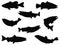 Set of Salmon Fish silhouette vector art