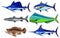 Set of saltwater game fish