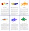 Set of Saltwater Inhabitant Vector Illustrations