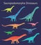 Set of sauropodomorpha dinosaurs. Colorful vector illustration of dinosaurs isolated on blue background. Side view