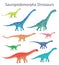 Set of sauropodomorpha dinosaurs. Colorful vector illustration of dinosaurs isolated on white background. Side view