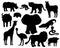 Set of Savannah animals silhouettes on white background. Tiger, lion rhinoceros, common warthog, African buffalo, tortoise,