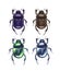 Set of scarab beetles
