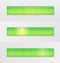 Set of school measuring transparent plastic ruler of green color 15 centimeters and 6 inches